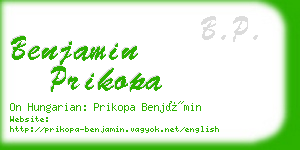 benjamin prikopa business card